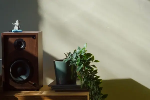 Altavoz de estantería de madera con tweeter y woofer visibles sobre un mueble de salón, junto a una planta, con luz natural cálida de ventana