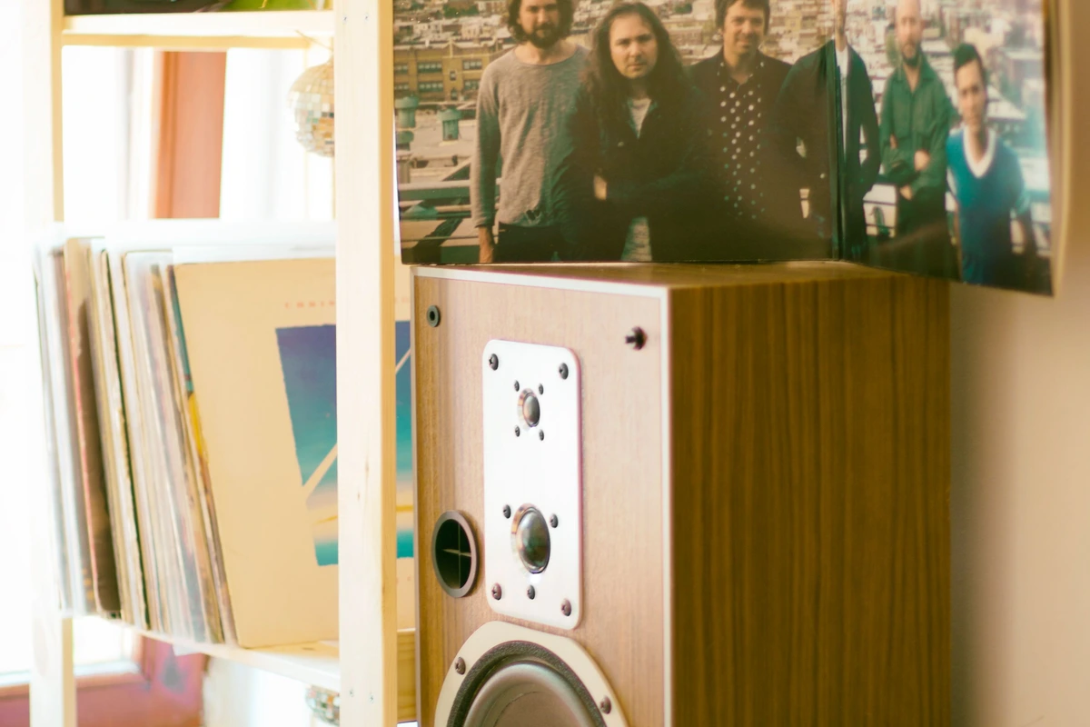 Altavoz de estanteria en una estanteria de salon junto a una coleccion de discos de vinilo