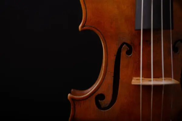 Detalle del cuerpo de un violin de madera con sus cuerdas y el puente